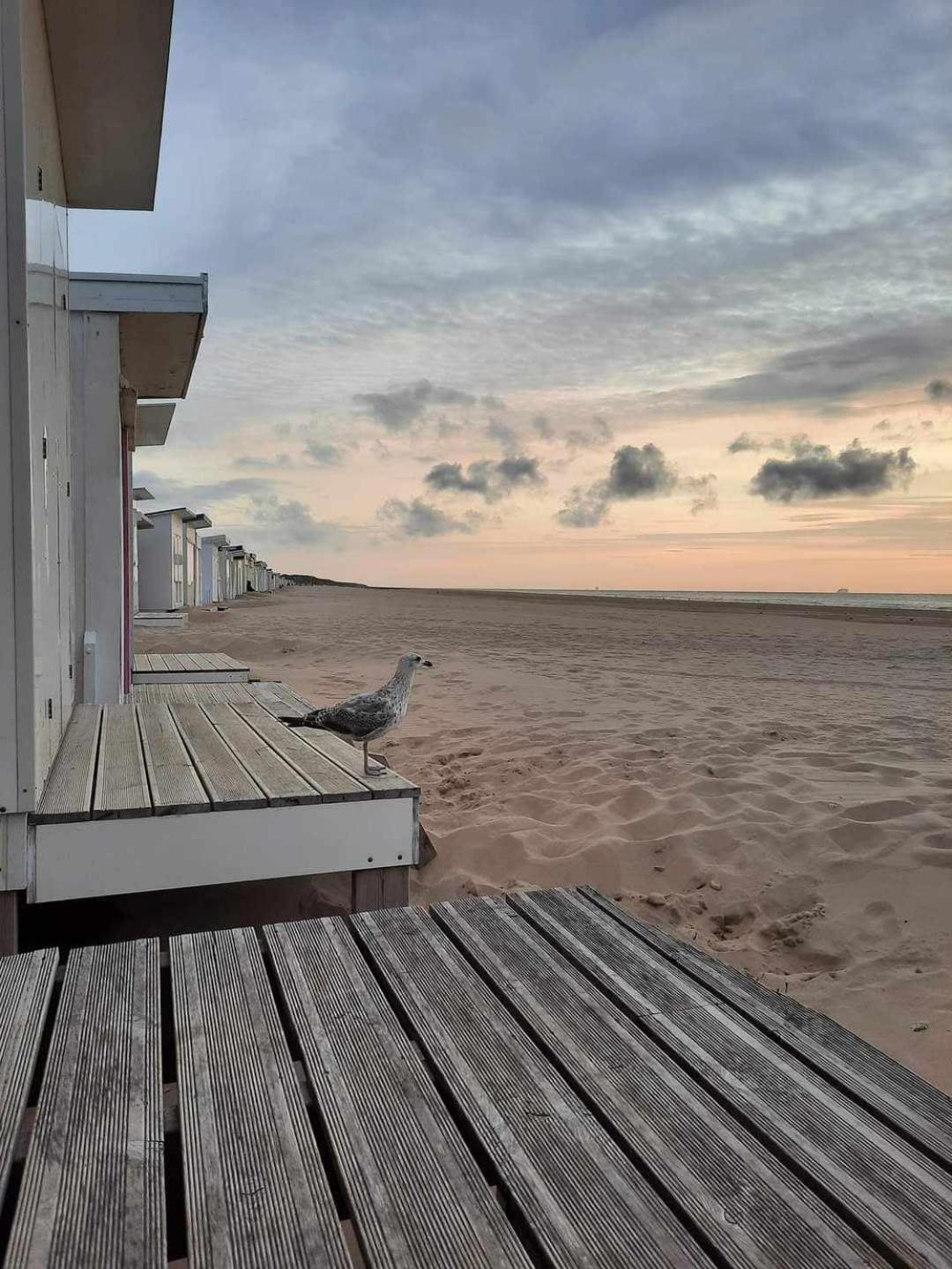 Calais Plage-Gare Appartement Elegant Tout Equipe Екстериор снимка